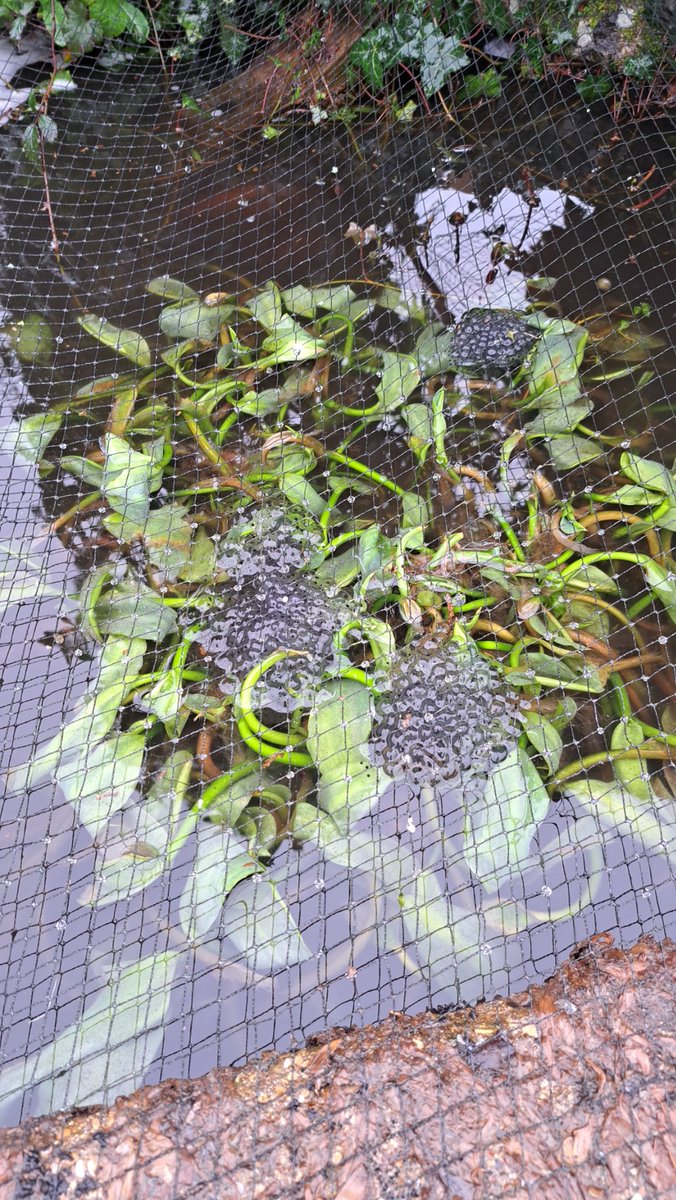 Trevor Pascoe tweet media