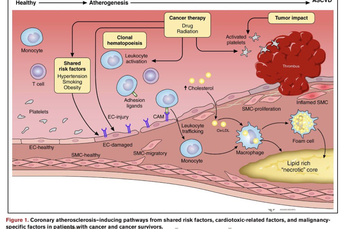 Juan Lopez-Mattei, MD tweet media