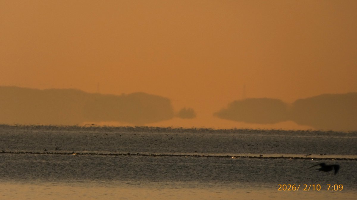2026/02/10 #伊勢湾蜃気楼 発生報告 今日も香良洲海岸から鳥羽の桃取