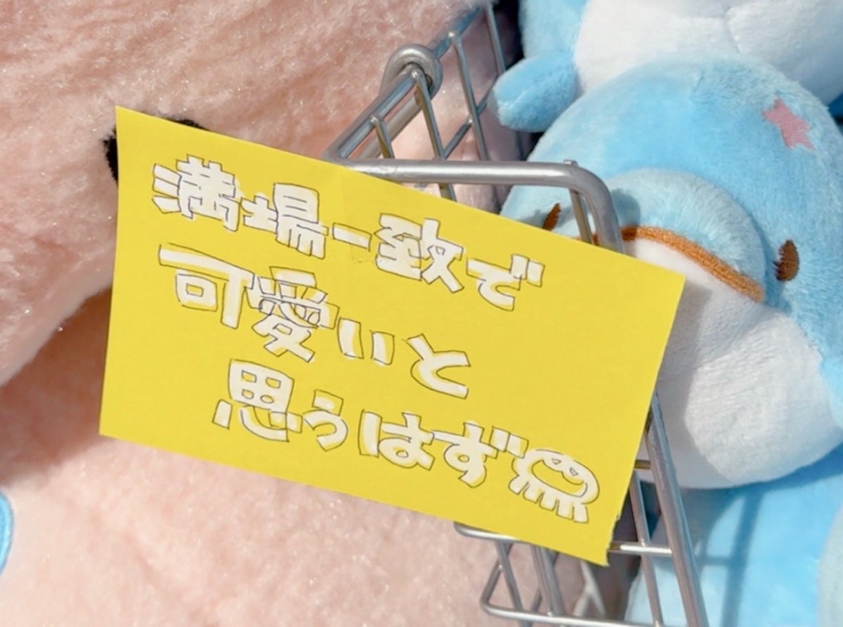 みいるかマーケット、ポップが可愛すぎた🤣🤣🤣 さすがヴィレヴァン！笑