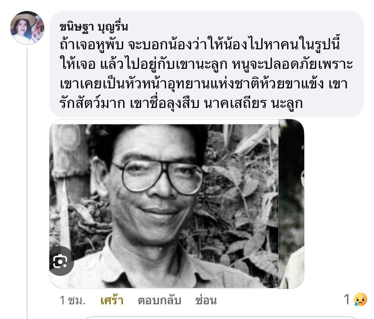 ชลน แมวส้มแท้ๆ 🐱 tweet media