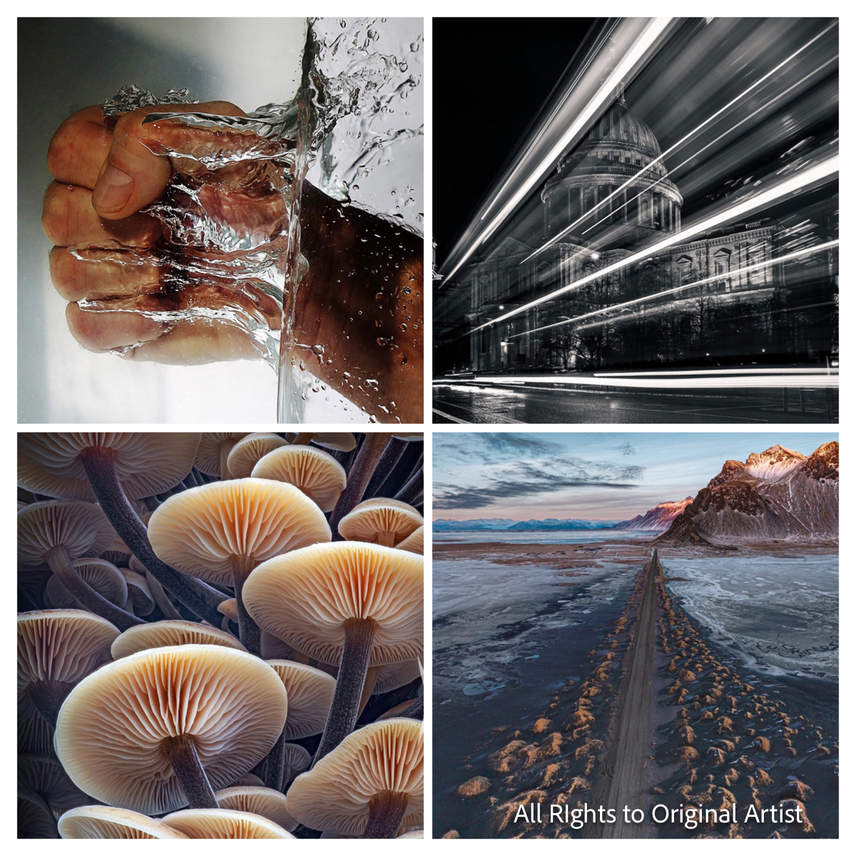 To see an amazing selection of images and the results of our February club members' competition,  please  go to our website at SMCC.org.uk where you will also find info' about our program also how to get in touch with us should you wish to attend one of our meetings.