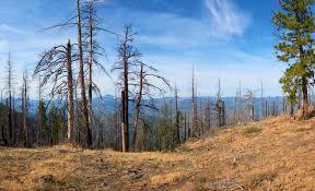 GNGAgritech's tweet photo. Scientists learn that forests capture more methane from the air as the planet warms
https://t.co/zFUqohyFWj
#agriculture, #crop, #farming, #fertilizer, #forest, #gas, #getgreengetgrowing, #gngagritech, #greenhouse, #greenstories, #methane, #plantgrowth https://t.co/ewEbLj7Gyj