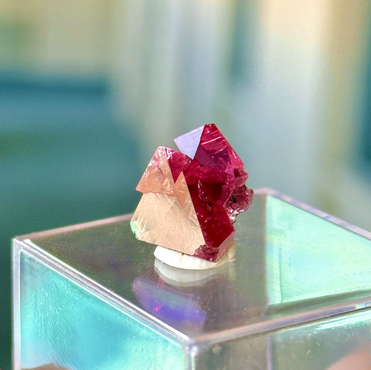 CRYSTAL STAGE tweet media