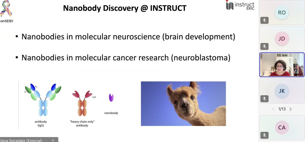 Claudia Alen Amaro tweet media