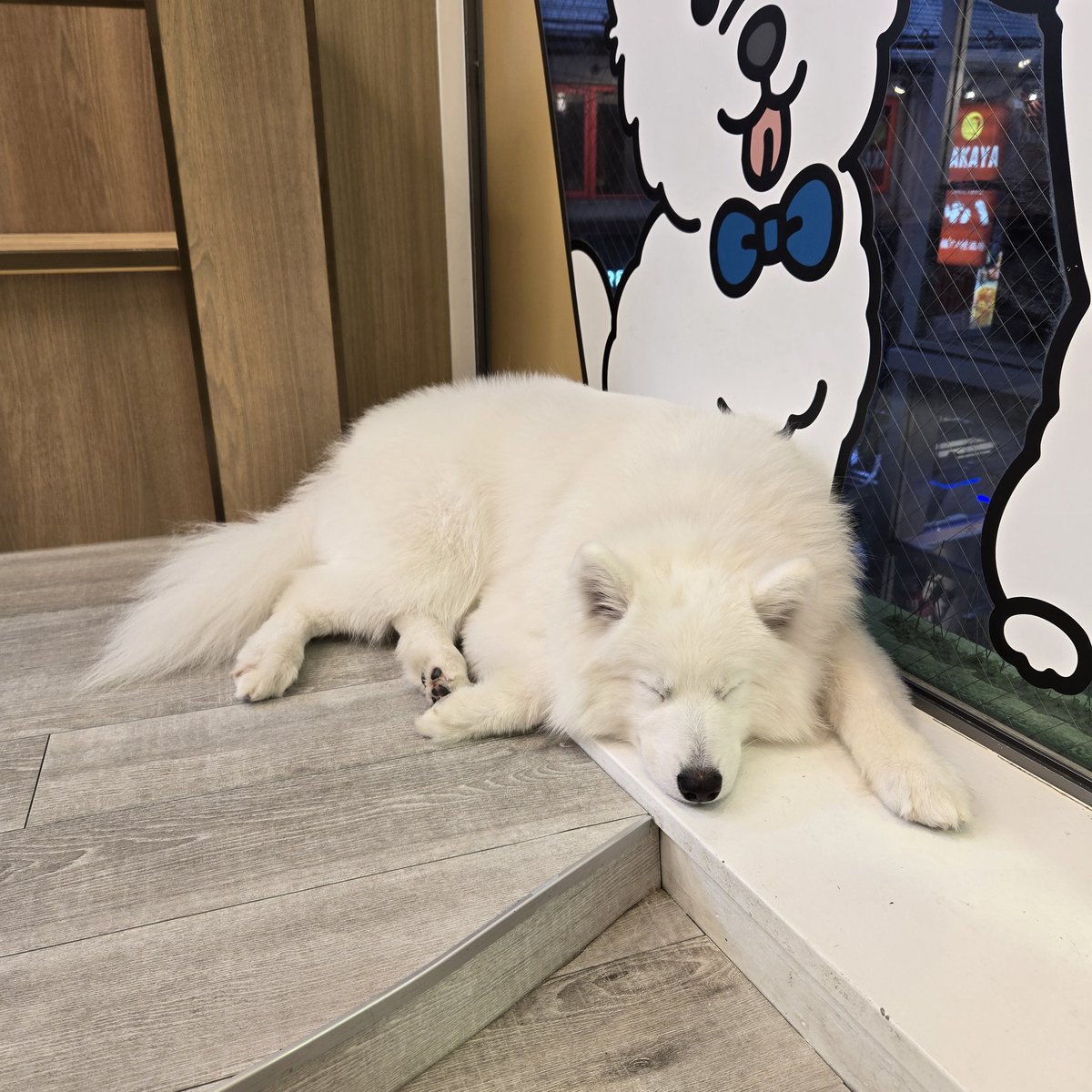 𝐎𝐏𝐄𝐍𓂃 ◌𓈒𓋪
こっちで言うの忘れてた！！！！！インスタしかあげてなかった！！！！！
開けてますので何卒🎶明日祝日らしいし一緒に飲もう✋🐹