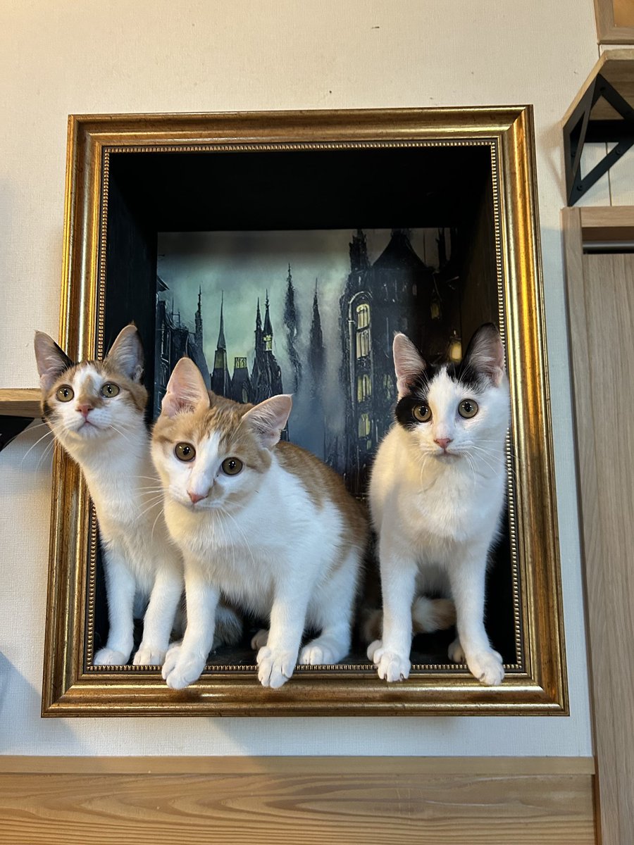 絵画から飛び出す猫たち