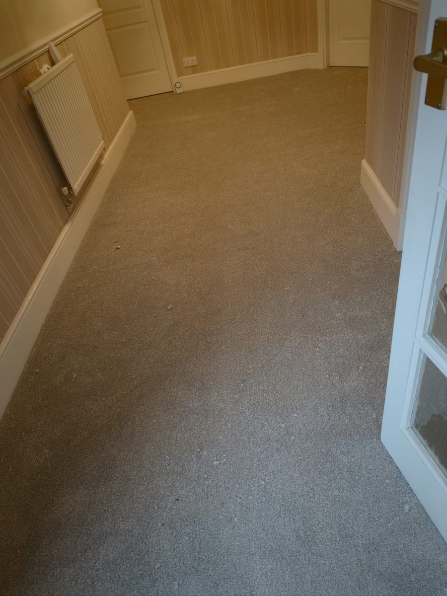 Want a quick turnaround on work in your home? Our Abbotsford stock range is a bargain @ only £11.94m2 cpt only!🤑
Come &amp; visit us this morning, we are happy to help &amp; here till 4pm. 👍
#Shoplocal #Supportlocal #Beeston #Nottingham #Flooring #Carpet