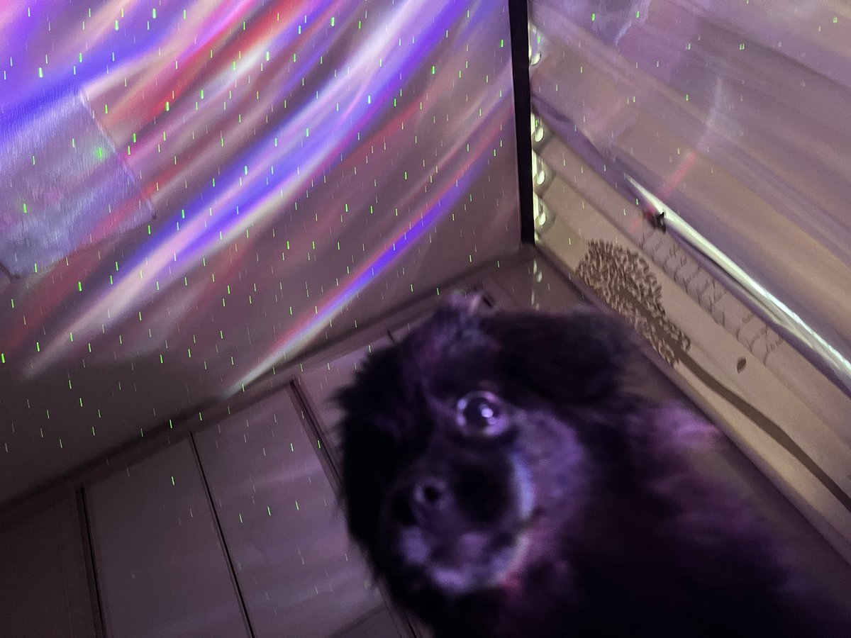 태어나서 무드등 첨본 아기단비 찾음 ㅜㅜ 
눈이 초롱초롱 ..