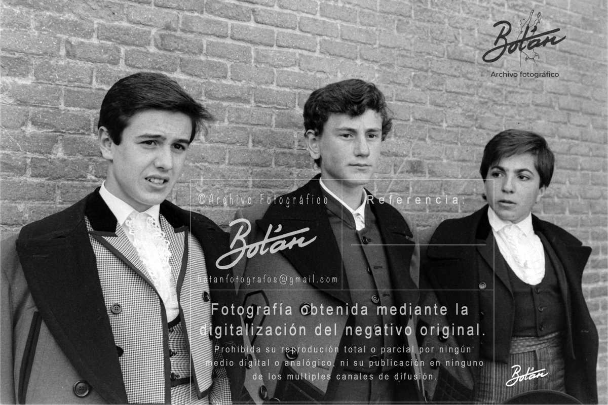 Botán tweet media