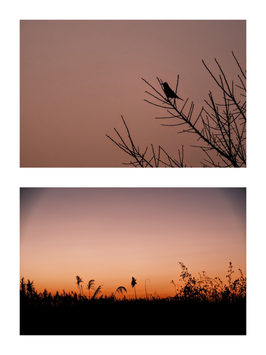 masaki (@msk11_xe4) on Twitter photo 