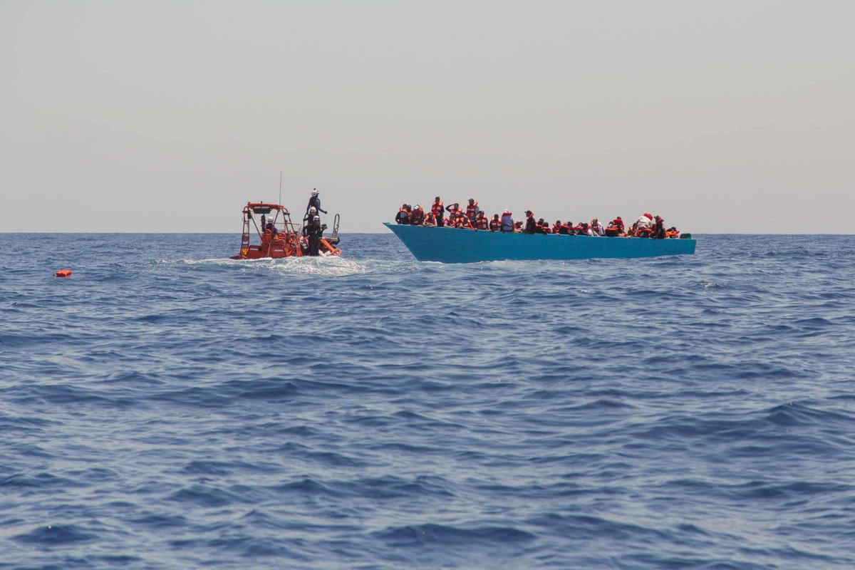 Open Migration tweet media