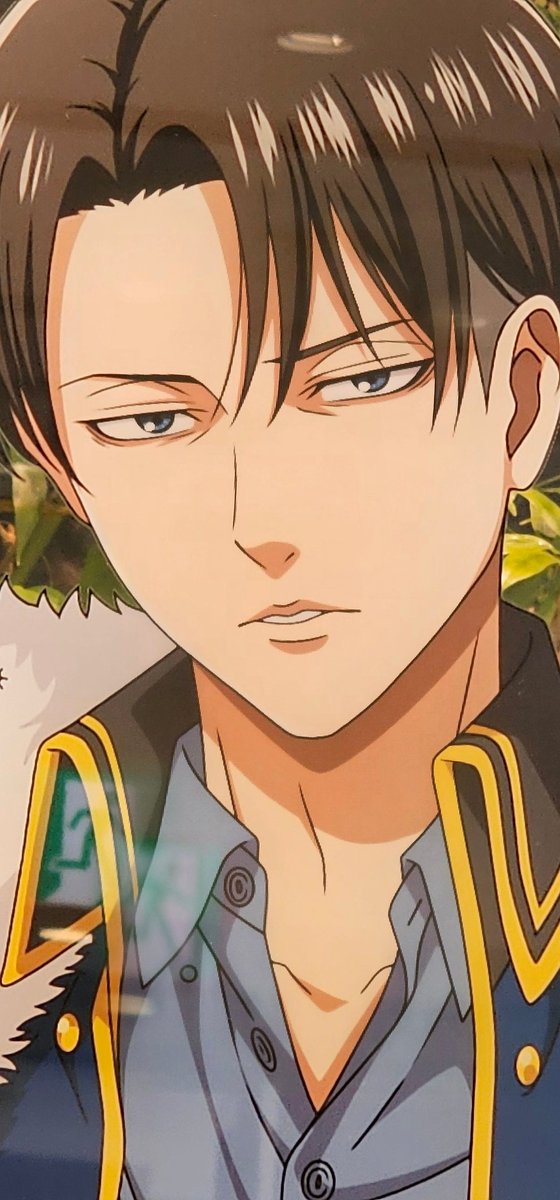 武蔵虎次郎🐯 tweet media