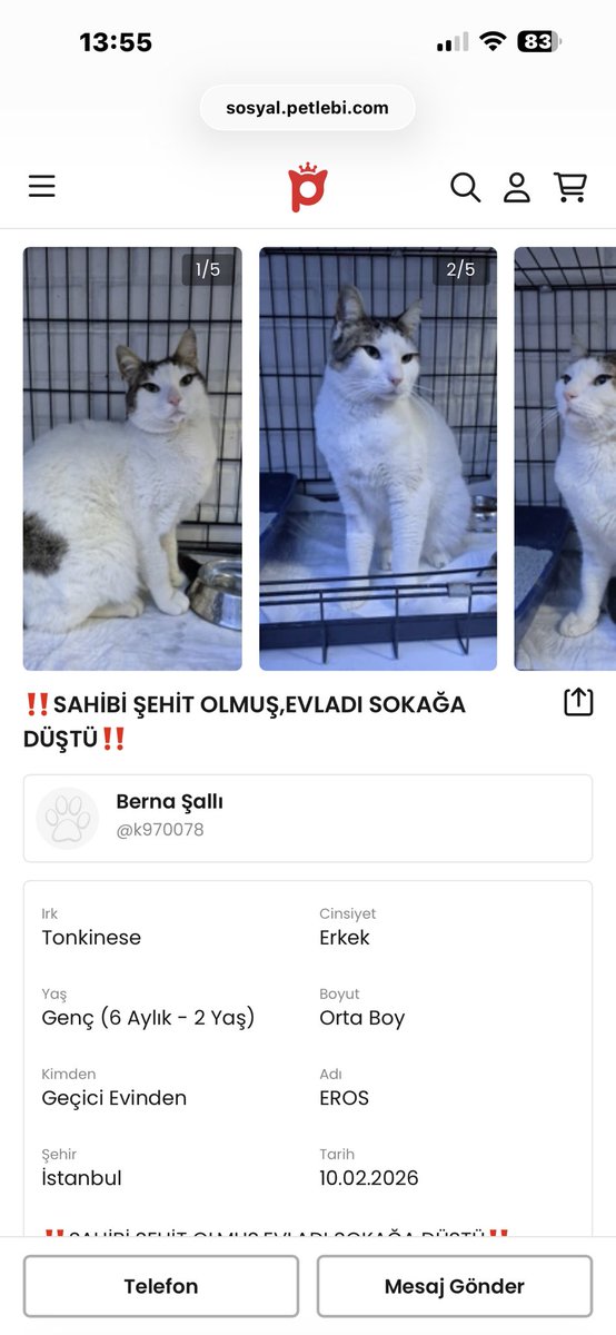 miaandbellasmom's tweet image. Günlerdir bu ilana ağlıyorum şehidimizin emanetine bile sahip çıkamamışlar… ne olursunuz elden ele yayalım bir yuva bulalım bu çocuğa… 😔🙏🏻🇹🇷