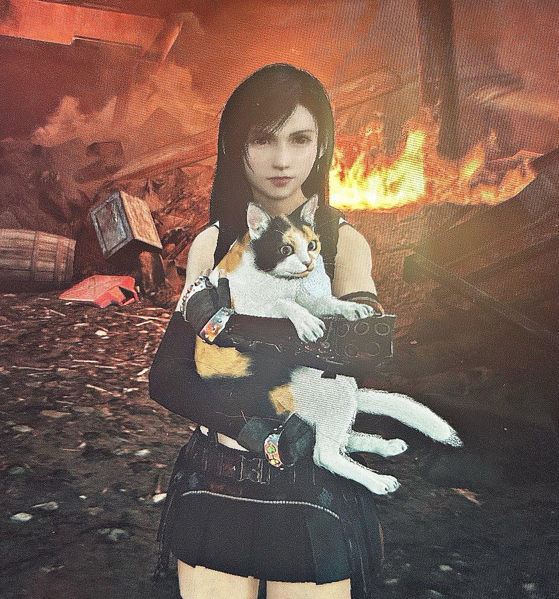 bassifondi del settore 7 rasi al suolo ma non importa perché c’è Tifa che tiene in braccio un gattino🩷