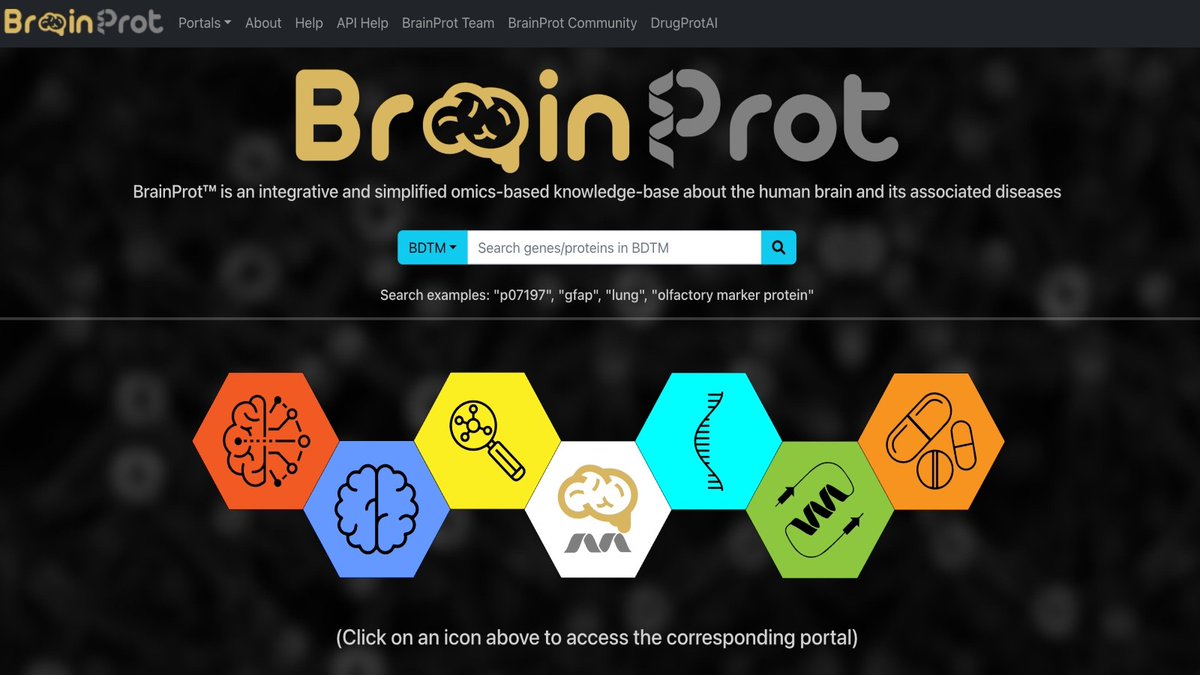 iitbombay's tweet photo. A research team at IIT Bombay, led by Prof. Sanjeeva Srivastava from the Department of Biosciences and Bioengineering, in collaboration with researchers from different research institutes in India and abroad, has developed BrainProt v3.0, a database that combines various types of biological data—from genes to proteins—into a single platform to enable systematic insights into human brain function in both healthy and diseased states. This brain-disease data will help researchers find markers, explore treatments and pinpoint druggable targets.

https://t.co/51i1iMXc1I