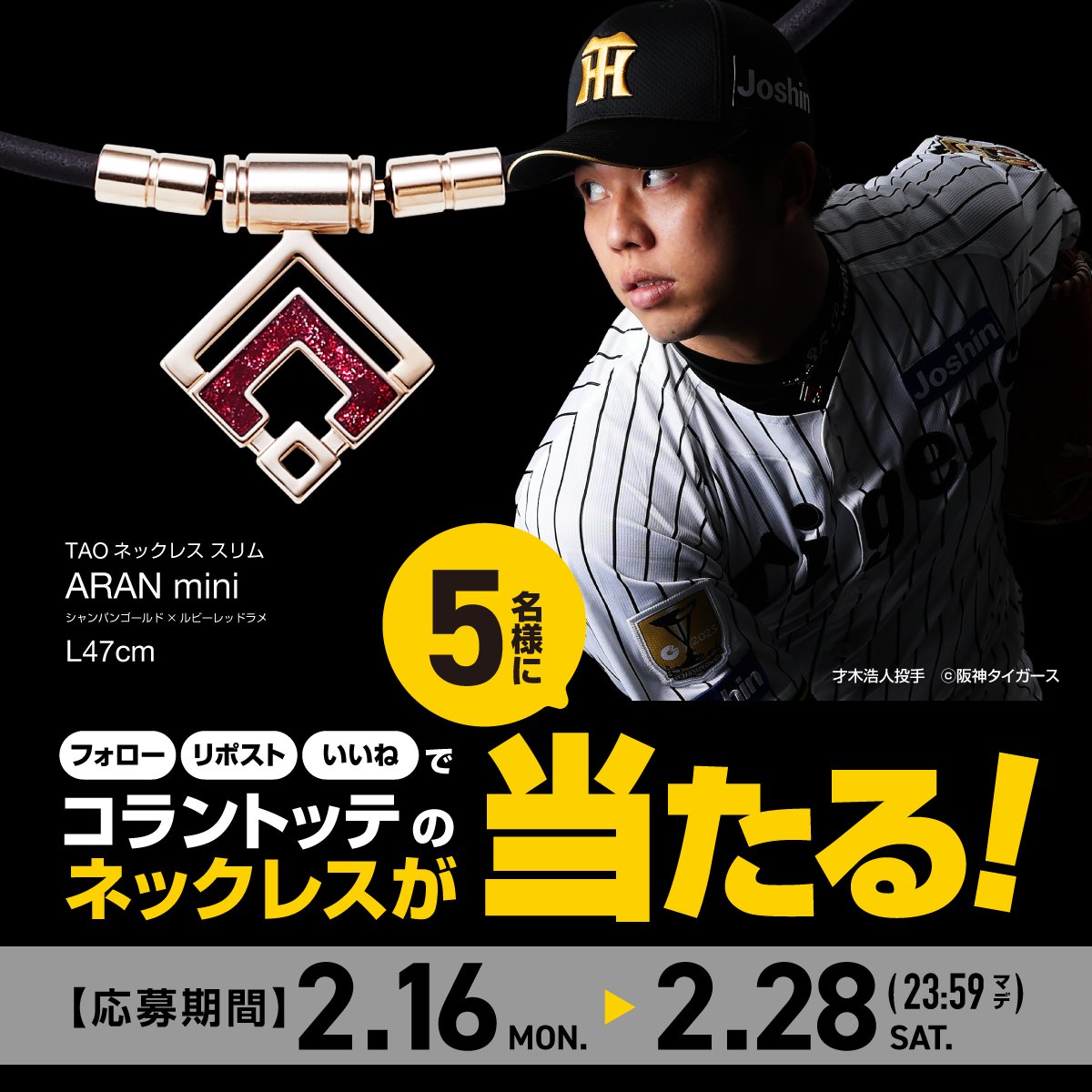 ／
 #阪神タイガース 🐯
 #才木浩人 選手契約記念⚾️
フォロー&amp;リポスト #キャンペーン
＼

抽選で5名様に着用モデル
#コラントッテ 
TAOネックレススリムARANmini
Lサイズ（47㎝）を🎁

●応募方法
①
<a href="/Colan_Totte/">コラントッテ【公式】</a>
をフォロー
②この投稿をリポスト&amp;いいね

引用リポスト&amp;応援コメントで当選率⤴️