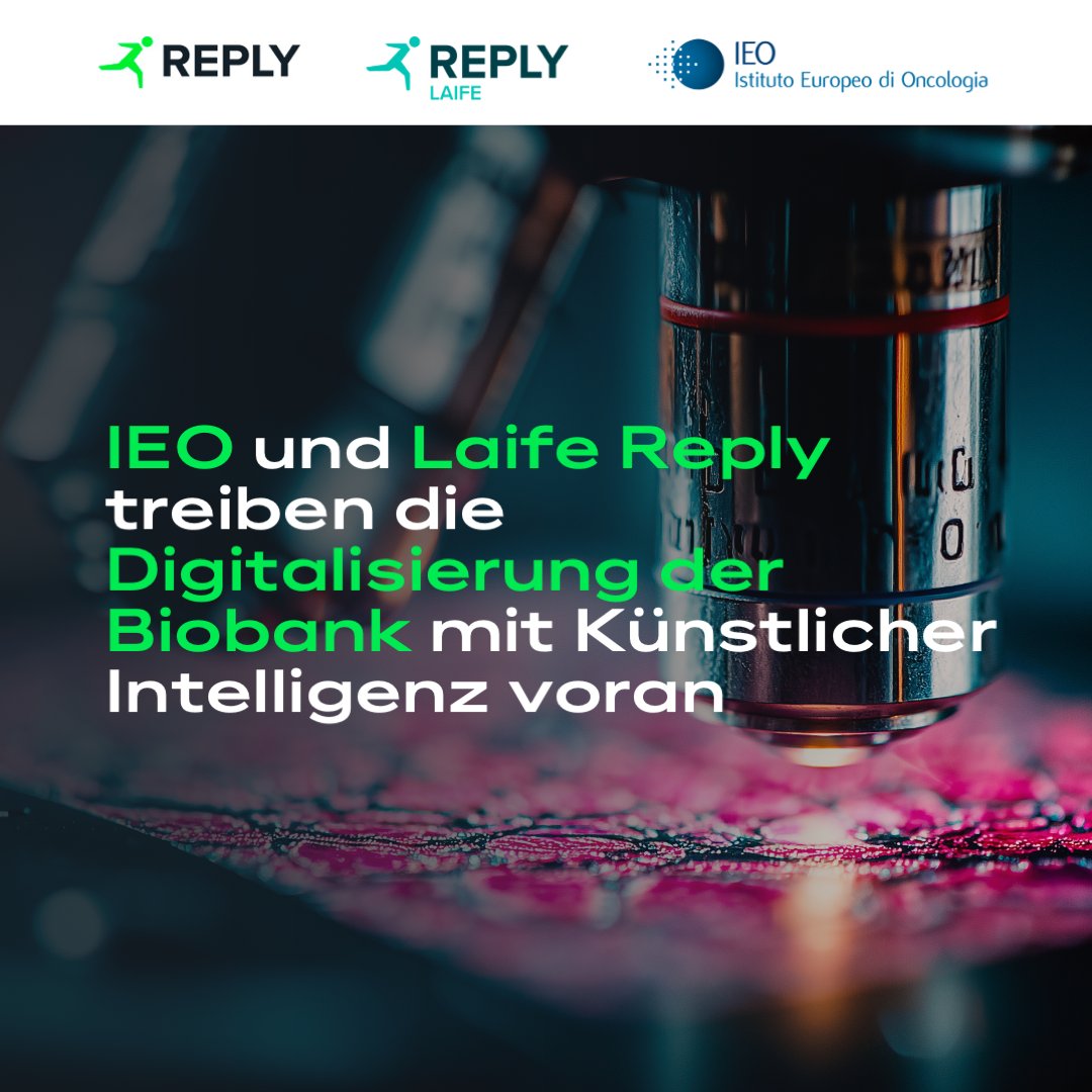 Reply in Deutschland tweet media