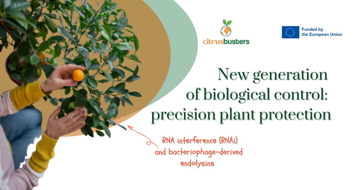 Citrusbusters tweet media