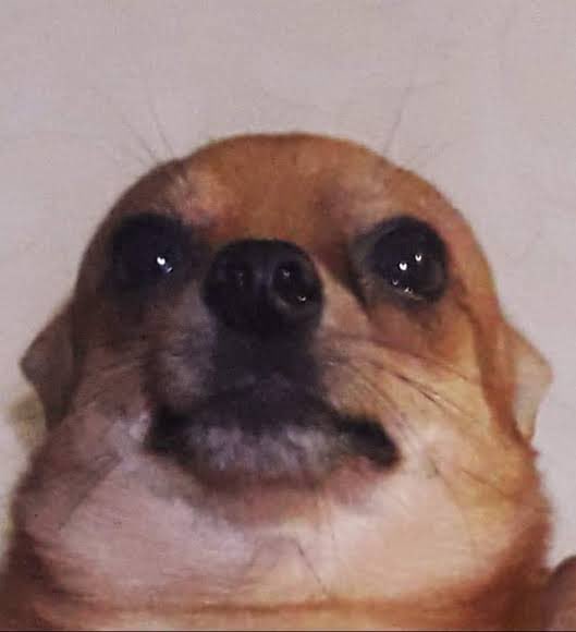 Pete.nvich tweet media