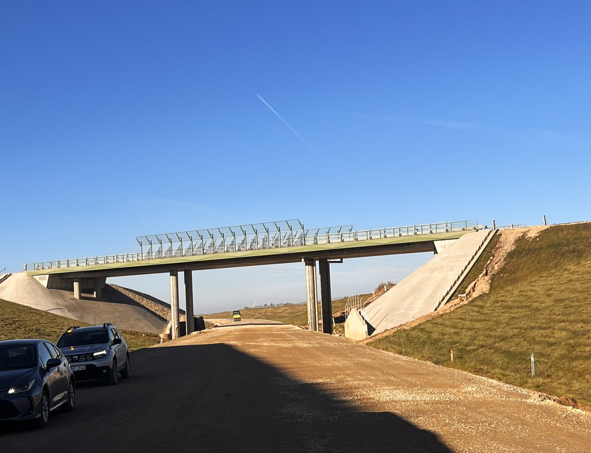 CINEA 🇪🇺 tweet media