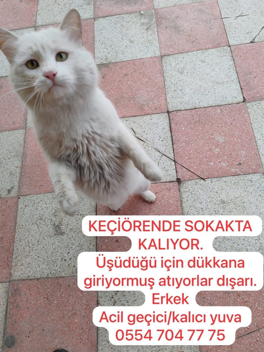 Serpil Güdül (@sgudul) on Twitter photo 