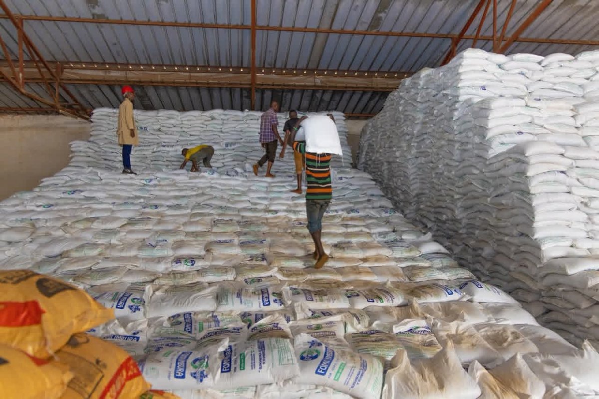 Radioshimafm's tweet image. 🔢 #Burunga : Plus de 2.860 tonnes d’engrais sont déjà disponibles dans toute la province pour la saison B. 

➡️ Congera Jean Marie, BPEAE @Burunga réaffirme que les stocks sont suffisants et d’autres arrivages sont attendus. 

#Burundi #Agriculture #ShimaFm