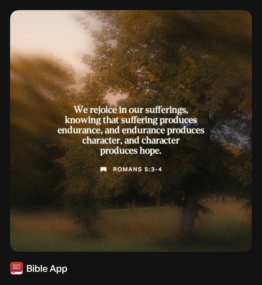 Rita Rickett (@hik_rita) on Twitter photo 