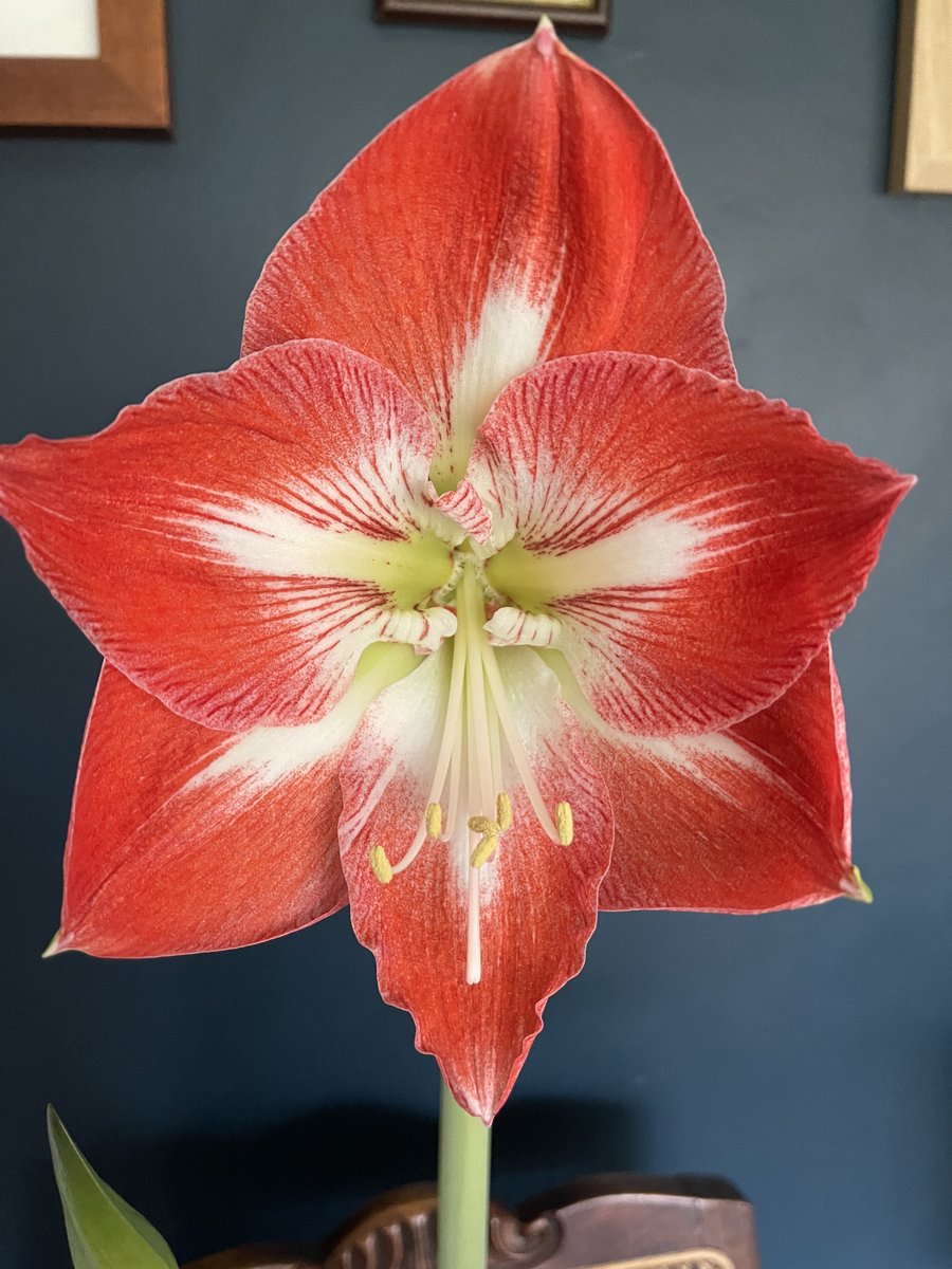 Gillian Higham tweet media