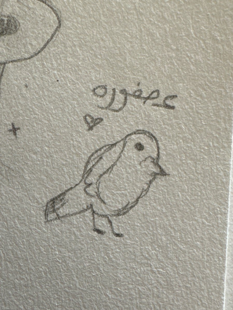 مُرجان tweet media