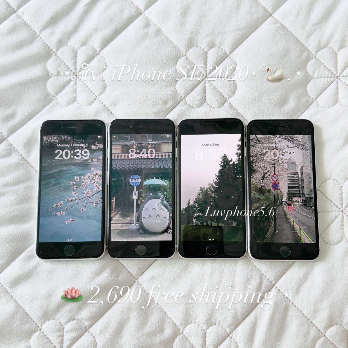 6_luvphone5's tweet photo. ⊱ꕤ⊰🪷 iPhone SE 2020 สีขาว 🦢🤍
: 64gb แบต80% 🌺2,690 ส่งฟรี
• ปกติหมด ไม่ติดไอคราว
• สแกนนิ้วกดได้
• รีเซ็ตได้ตลอด อัพios 26+ เครื่องลื่นๆได้ทุกแอพ
กล้องสวยละมุนสุดๆ💕
#iphonese2020 #iphonse https://t.co/PFHZYPJZoa