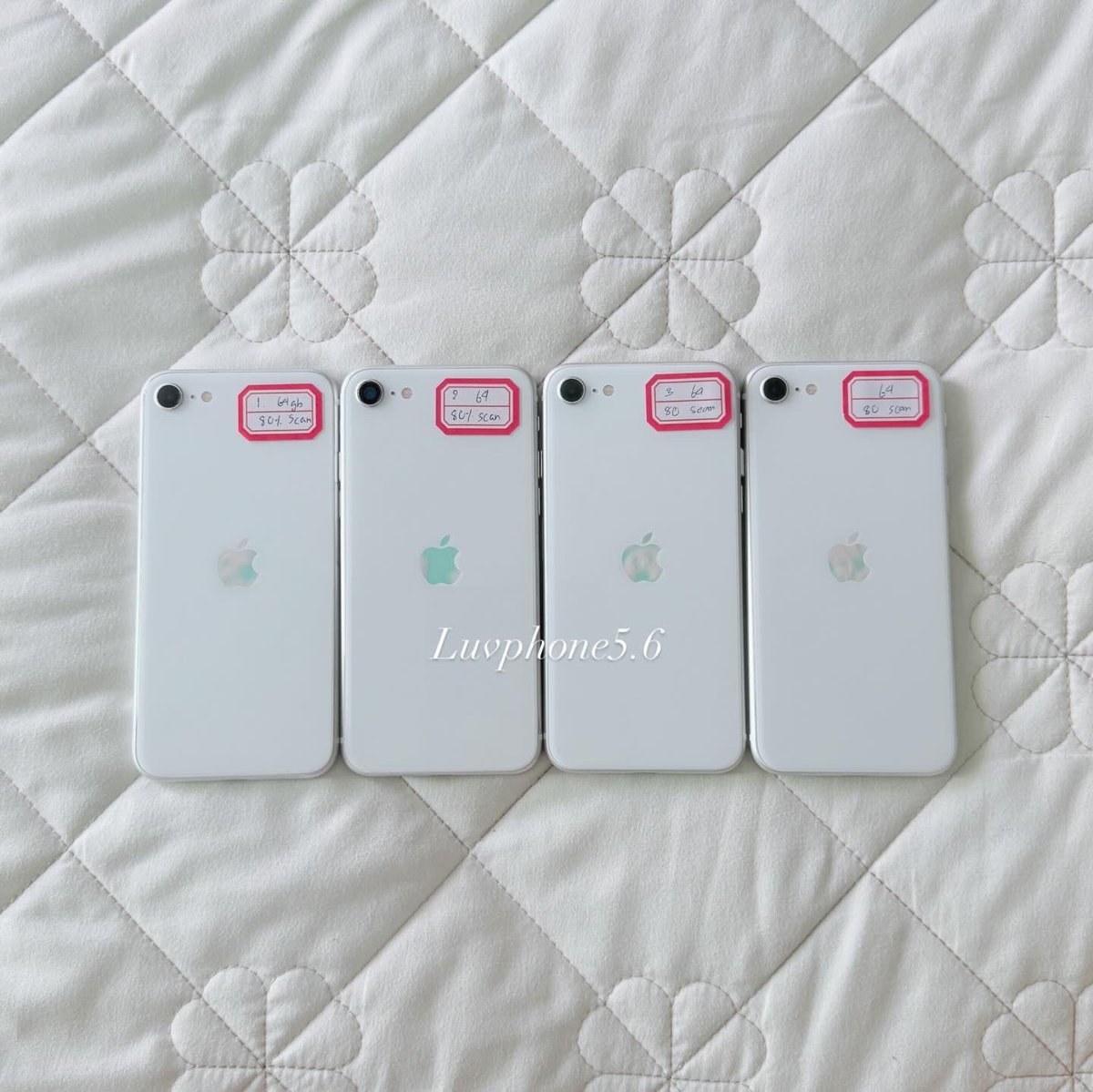 6_luvphone5's tweet photo. ⊱ꕤ⊰🪷 iPhone SE 2020 สีขาว 🦢🤍
: 64gb แบต80% 🌺2,690 ส่งฟรี
• ปกติหมด ไม่ติดไอคราว
• สแกนนิ้วกดได้
• รีเซ็ตได้ตลอด อัพios 26+ เครื่องลื่นๆได้ทุกแอพ
กล้องสวยละมุนสุดๆ💕
#iphonese2020 #iphonse https://t.co/PFHZYPJZoa
