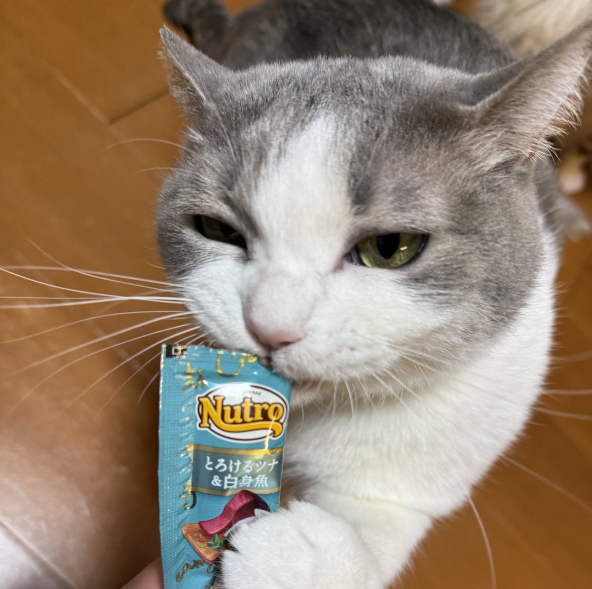 いずもん/まろ様＊mfmf (@7nfxwoi3F8lSqHU) / Posts / X