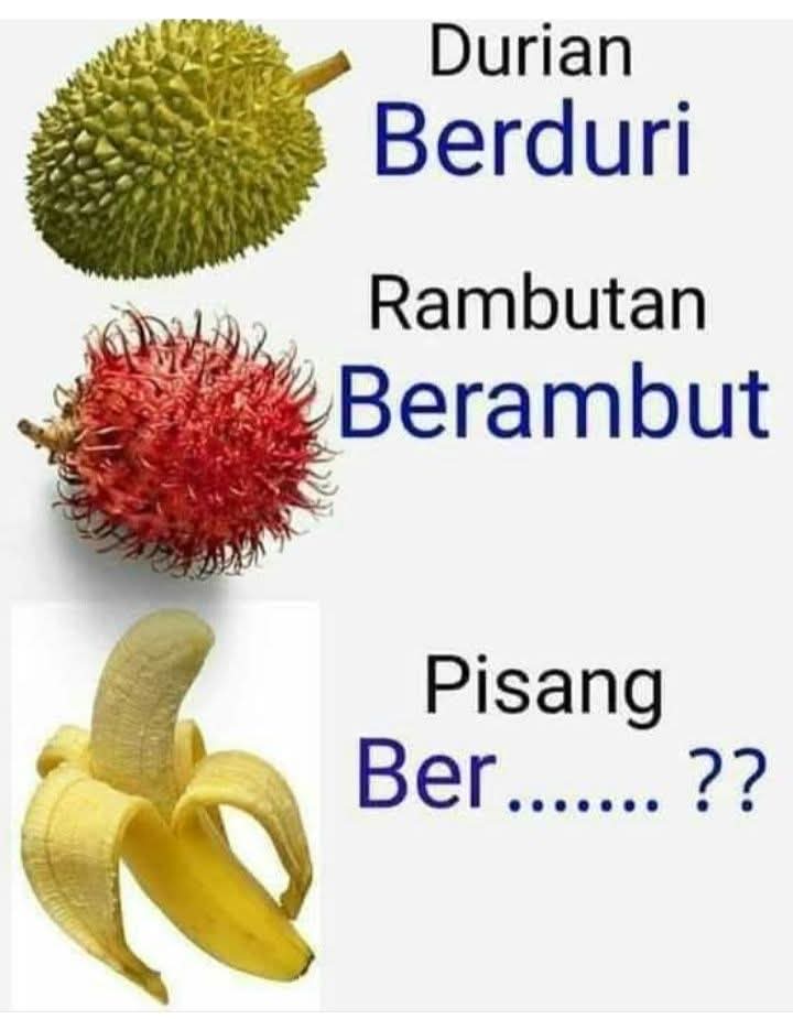 KucengTerbanggg's tweet image. Ber apa ya