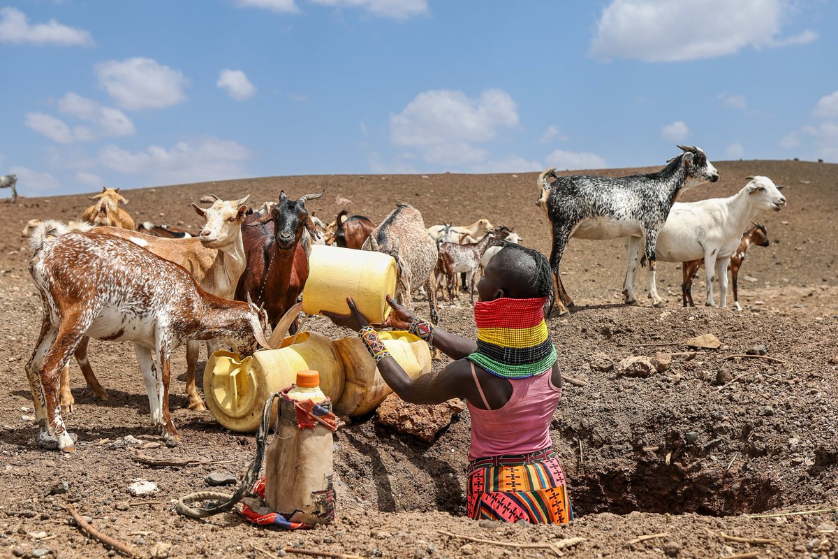 AJEnglish's tweet image. Severe drought has left more than two million Kenyans facing hunger with northeastern cattle-raising communities suffering the most, according to the UN.

— in pictures aje.news/3g2i82