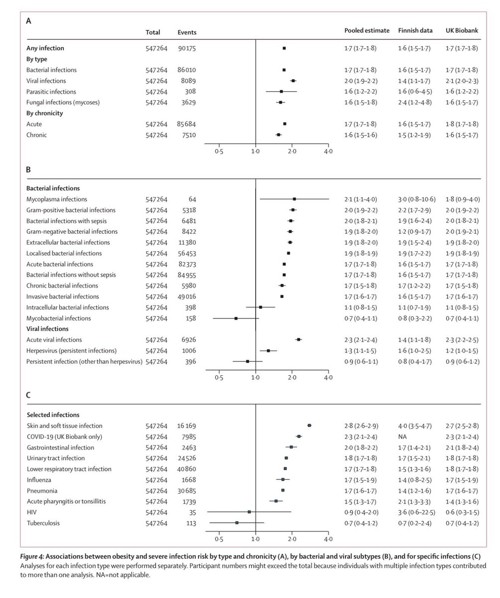 Cristobal Morales tweet media