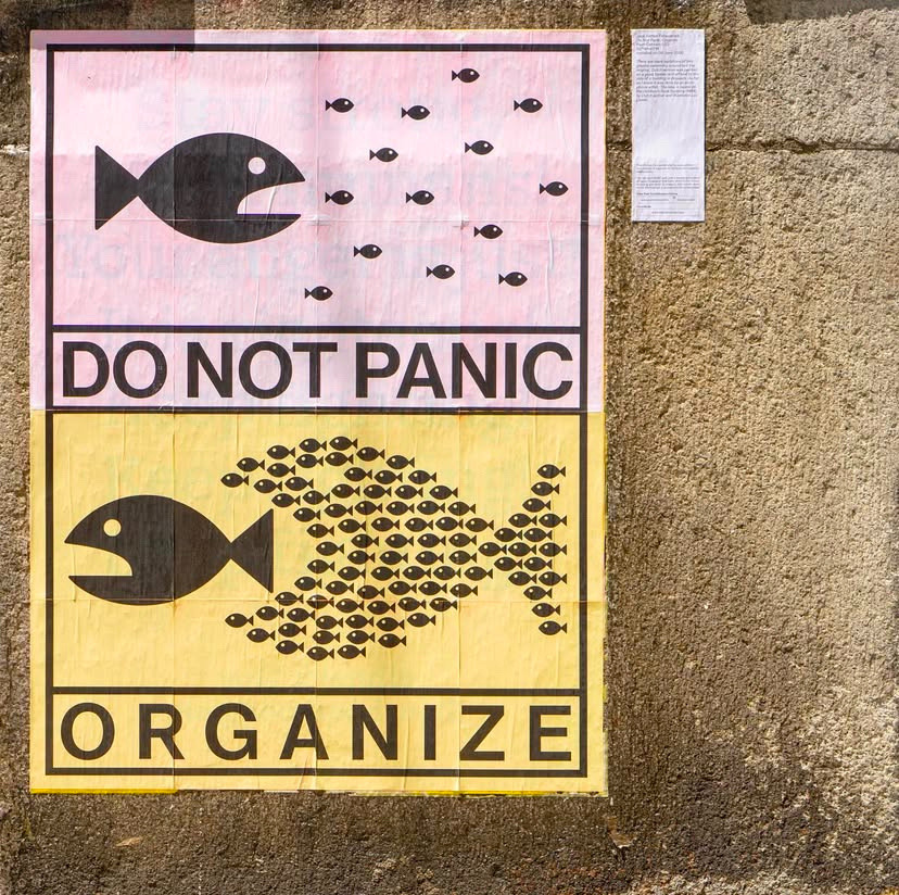 Walmon18's tweet image. Ta akcja to petarda! Całym sercem wspieram małe konta, jakim sama jestem. Oddam każdy follow. To najlepsze co możemy zrobić aby dać odpór pisiej zarazie, która zrobi absolutnie wszystko żeby wrócić do władzy. Wszyscy to wiemy. Organizujmy się Kochani!!!❤️💪