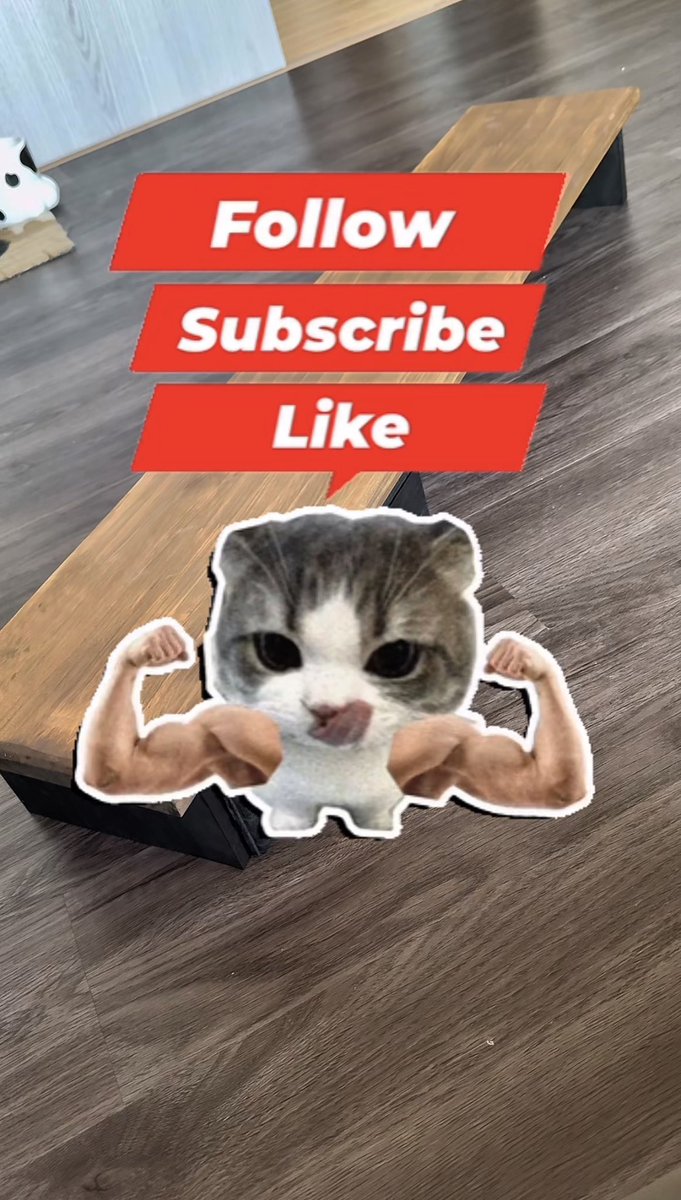 猫瀬乃しん🐈🎩 (@nekozenoshin) / Posts / X