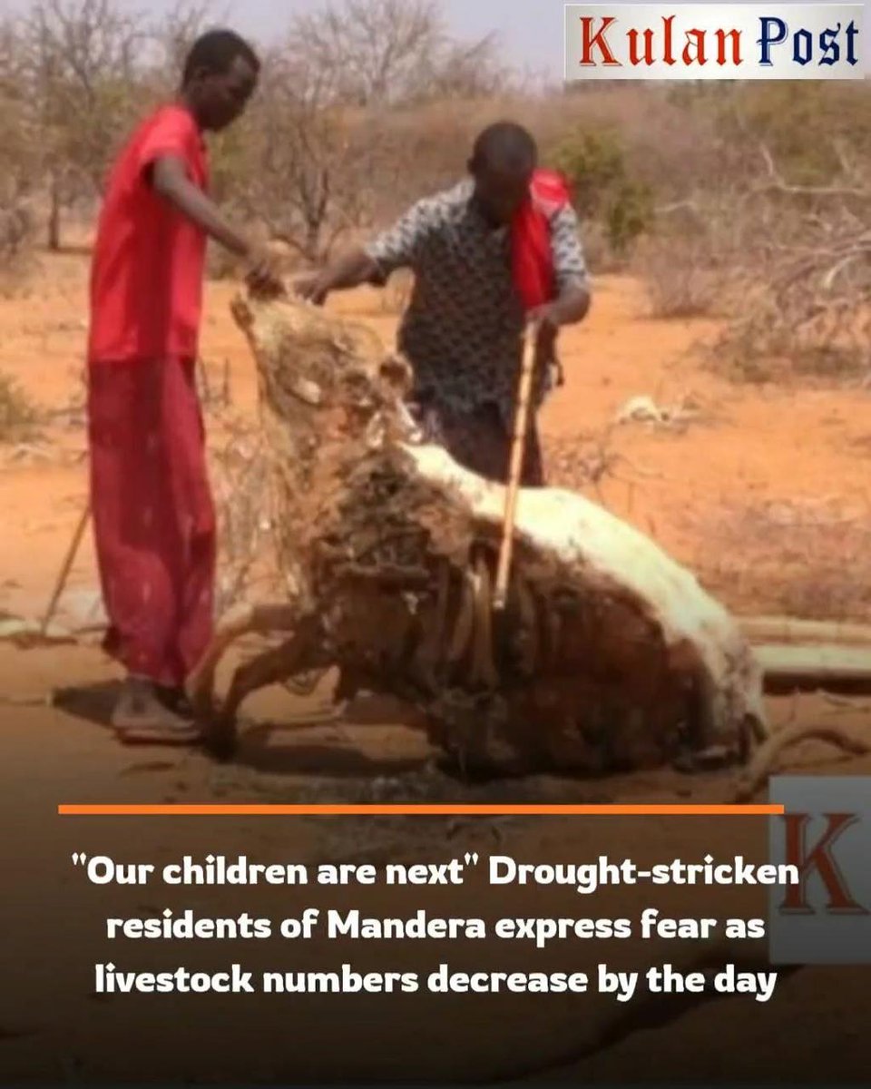IsaakIsaak10's tweet photo. Humanity is failing.
In northeastern Kenya, severe drought is killing people and animals alike.
Life does not discriminate — and neither should we.
#LifeMatters https://t.co/APY71Kcyuz