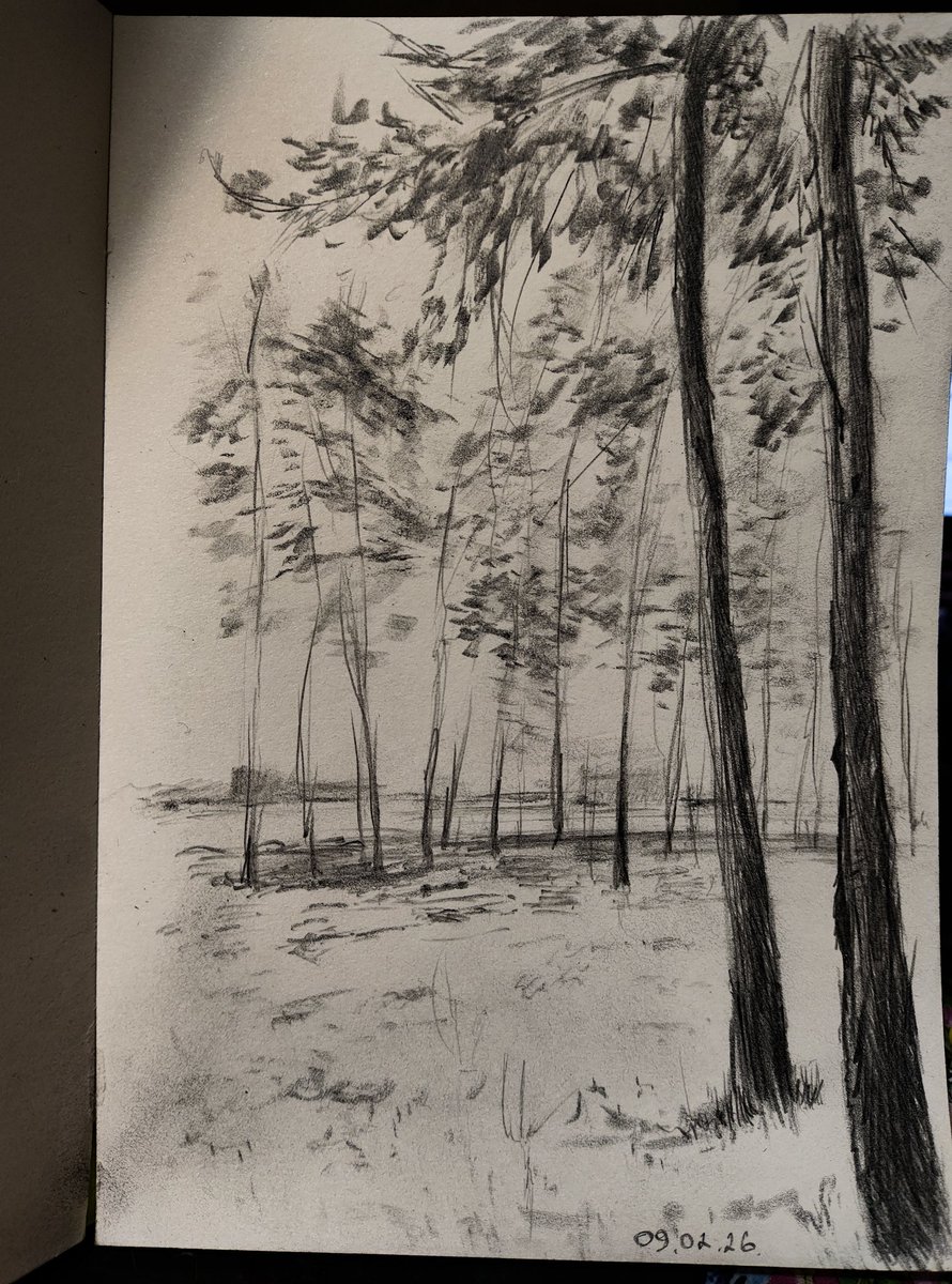 Скетчики на пів годинки🌱✍️

#украрт
#sketching