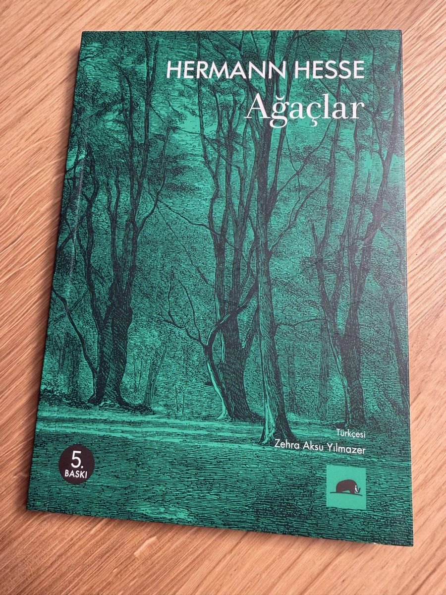Ağaçlar kendi gıdalarına, yani ışığa, uzanırken güzellik inşa etmişler. Bense kendi gıdamdan ancak anı inşa edebiliyorum. Açlığım beni güzel kılmayacak.