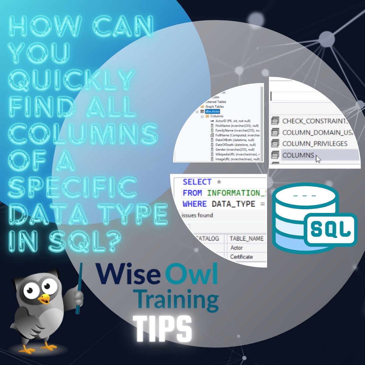 Wise Owl Training tweet media