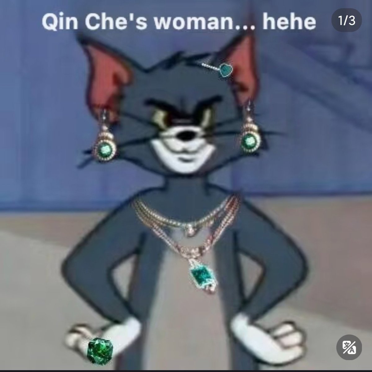 "Sylus's beloved
Sylus's woman
Sylus's fiancé
Sylus's wife
Princess
My dear countess
My queen
My majesty
My dearest wife
My lovely wife
My wife and I
Between husband and wife
I am her husband
My dearest Sylus
I WANT you to MARRY me
My Prince consort"
Oh this genre of sylus mc