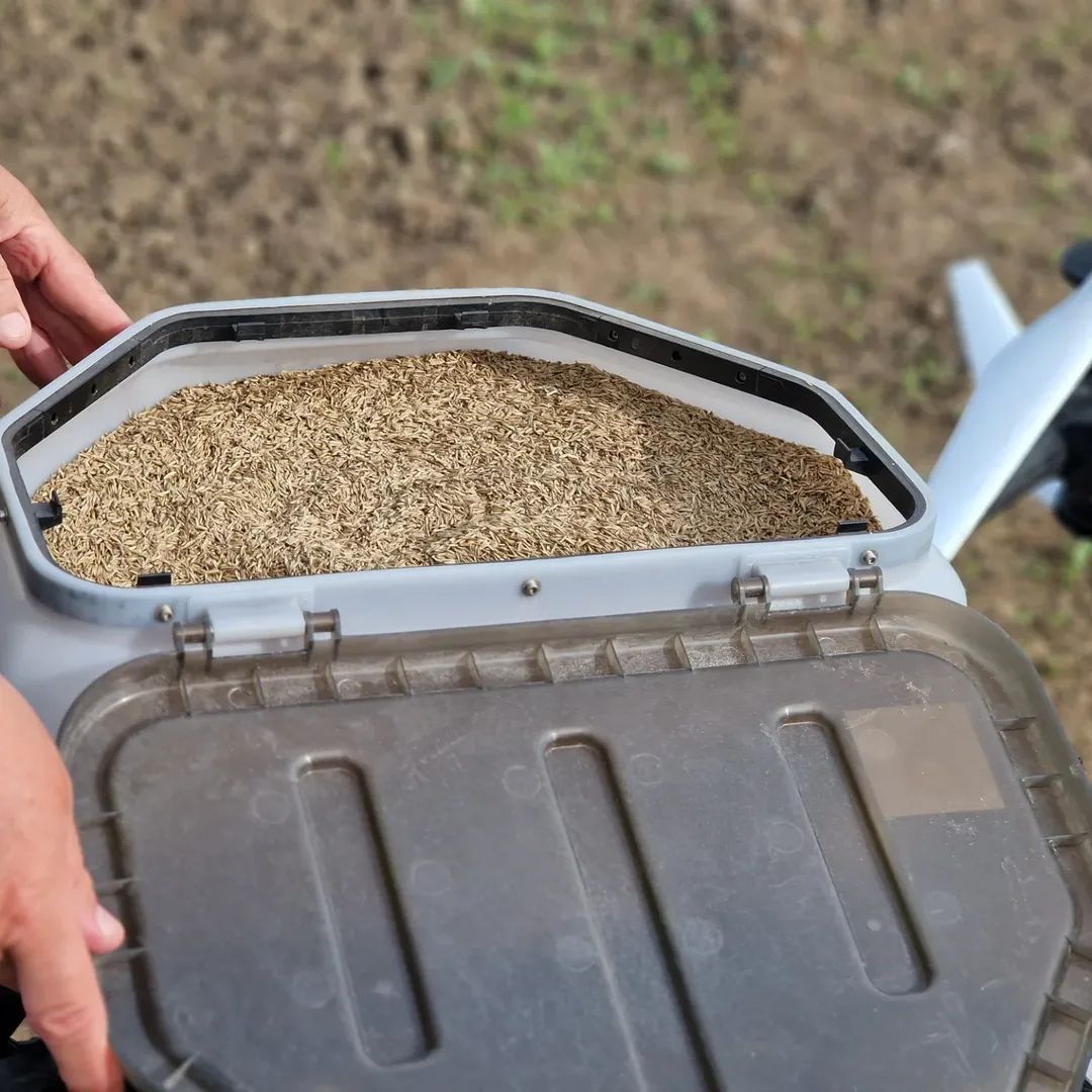 Overal is het nog nat en zompig ideale omstandigheden voor onderzaai met de Drone om Rietzwenk gras te zaaien in de tarwe..de eerste opdrachten komen binnen, nu nog de wind naar gunstigere waardes 😎🤟🚁👍