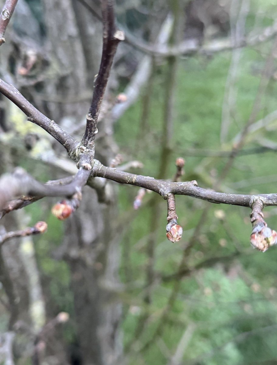 Flinois Patrick tweet media