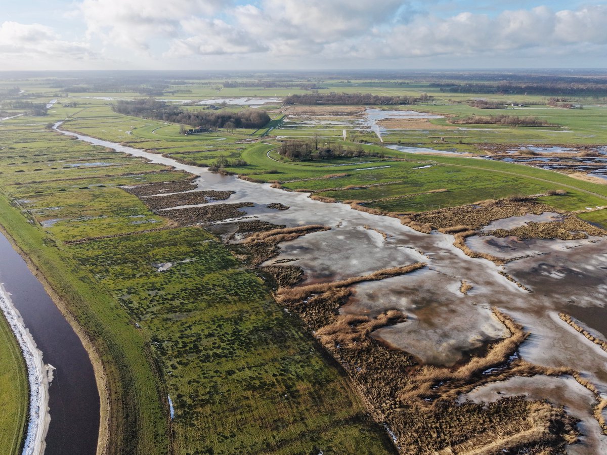 Prolander tweet media