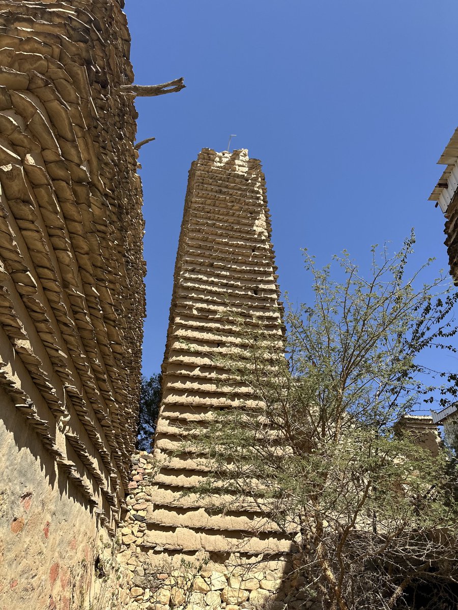 كنت اليوم في لجنة عمل زارت قرية آل خلف بمحافظة سراة عبيدة، شاهدنا قصورًا ومبانٍ تراثية تحكي عن عراقة وأصالة المكان وأهله.. لكنني زدت على أصدقائي أنني رأيت طفلاً يلعب بين ممراتها اسمه "أحمد أبودهمان"..

رحمك الله يا أحمد