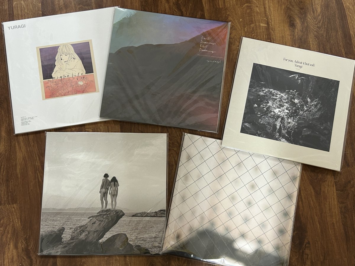 弾丸というか、雪で。。。。 2泊3日で東京滞在12時間。 後はほぼ車の