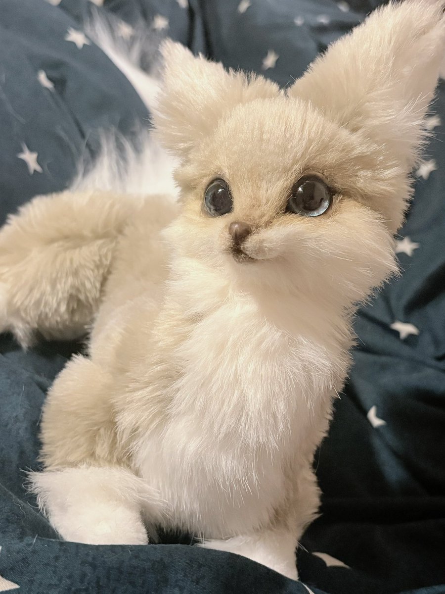 あにゃ@あにゃまるず (@macaronoxou) / Posts / X