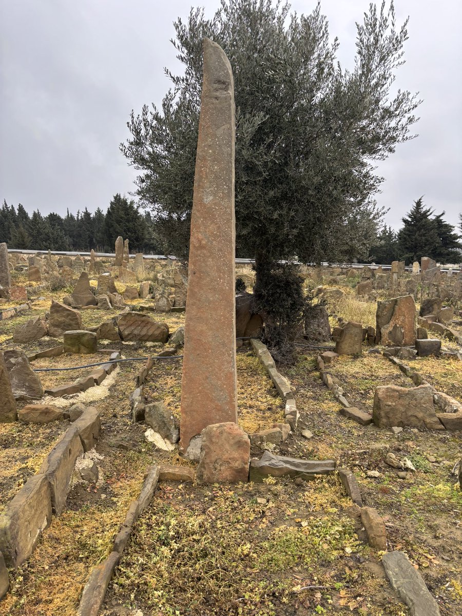 HalilSamiBey's tweet photo. @TarihiAlan tarafından yakın zamanda keşfi duyurulan Rumeli’deki ilk Türk mezarlığı.

Yapılan araştırmalar neticesinde bu mezarların Rumeli’ye geçen ilk Türk akıncılara ait olduğu düşünülüyor. 

Tarihi Alan Başkanı İsmail Kaşdemir: "8 bin 731 mezarın ortaya çıktığı bu tarihi mezarlıkta Rumeli'ye geçen ilk Türklerin mezarları, yani Gazi Süleyman Paşa'nın ve arkadaşlarının, Akıncıların mezarları tespit edildi"

~Küçükanafarta Köyü